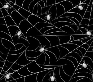 Spiderwebs