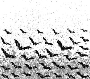 BATS2!