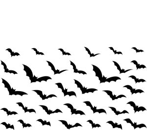 BATS!